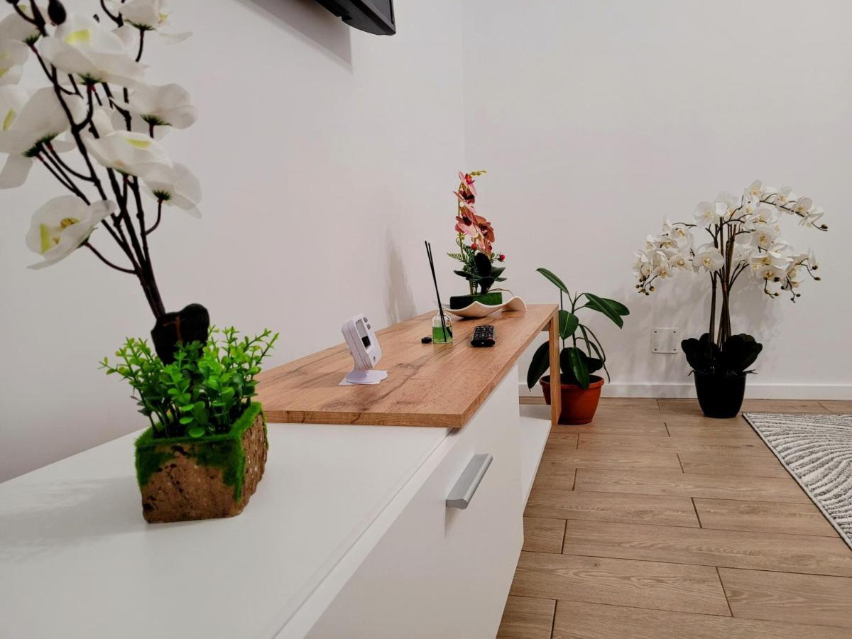 Casa Feli Apartman Brassó Kültér fotó